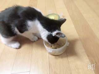 cola님이 올린 리뷰 사진 2