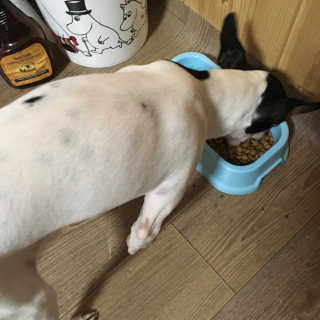 서언미님이 올린 리뷰 사진 1