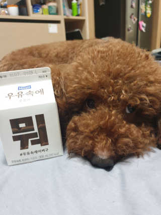 호호엄마님이 올린 리뷰 사진 3