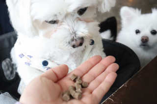 오들희님이 올린 리뷰 사진 3