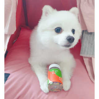 제주도에서 온 깨끗한 친환경 반려동물 음식 어글어글 — 5점을 준 리뷰어가 2019년 5월 올린 사용 사진