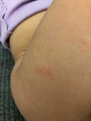 Ann님이 올린 리뷰 사진 2