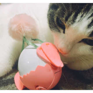 CaroHong님이 올린 리뷰 사진 1