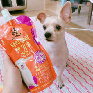 닥터할리펫밀크 8종 — 5점을 준 리뷰어가 2018년 9월 올린 사용 사진