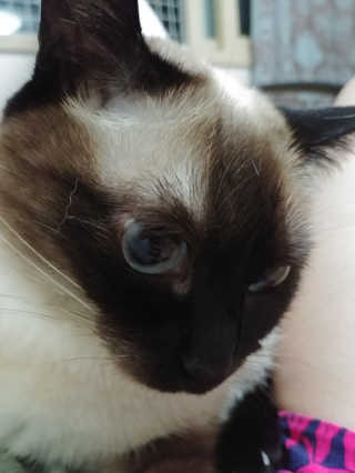아렐다님이 올린 리뷰 사진 2