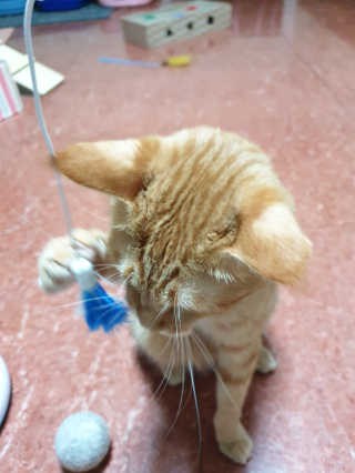 아리네님이 올린 리뷰 사진 4