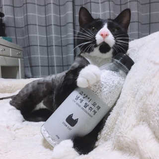 나르미르님이 올린 리뷰 사진 1