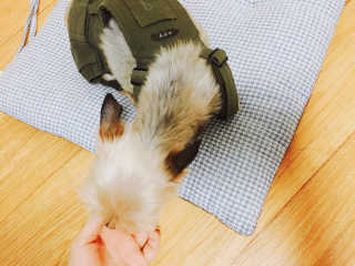 태미님이 올린 리뷰 사진 1