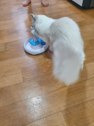딸랑구둘🥰님이 올린 리뷰 사진 3