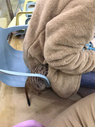 적구님이 올린 리뷰 사진 2