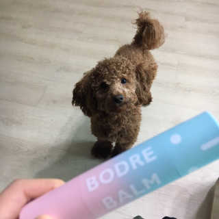 stribling님이 올린 리뷰 사진 4