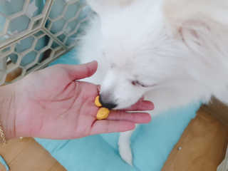 YouReena님이 올린 리뷰 사진 3
