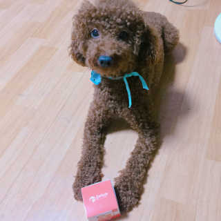 박가은님이 올린 리뷰 사진 1