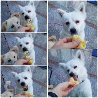 쪼꼬밍💖님이 올린 리뷰 사진 4
