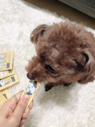 [펫토리아] 강아지,고양이겸용 짜먹는 한입뚝딱 — 5점을 준 리뷰어가 2019년 1월 올린 사용 사진