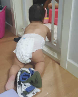 보솜이 리얼코튼 팬티형 — 5점을 준 리뷰어가 2019년 3월 올린 사용 사진