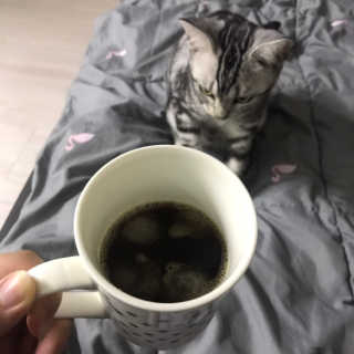 이미지님이 올린 리뷰 사진 3