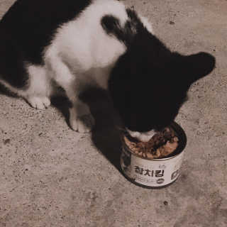 재미있다님이 올린 리뷰 사진 1