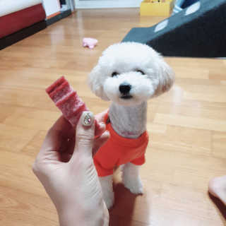 민동2님이 올린 리뷰 사진 1
