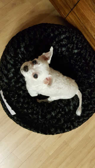 Mini님이 올린 리뷰 사진 1