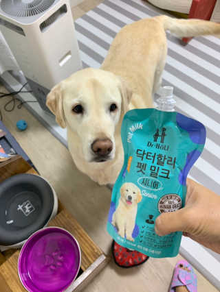 닥터할리펫밀크 8종 — 5점을 준 리뷰어가 2019년 4월 올린 사용 사진