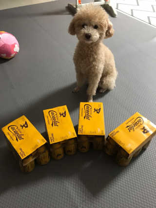 서주나님이 올린 리뷰 사진 1