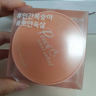 [블랙루즈] 피치 커버 벨벳 쿠션 2종 중 택1 — 4점을 준 리뷰어가 2019년 10월 올린 사용 사진