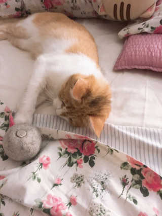 쿠키순대맘님이 올린 리뷰 사진 3