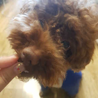 바이미르님이 올린 리뷰 사진 2