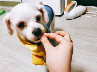 Underwater님이 올린 리뷰 사진 3