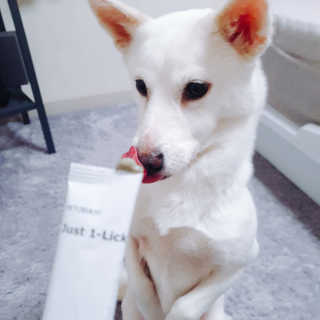조야삐님이 올린 리뷰 사진 2