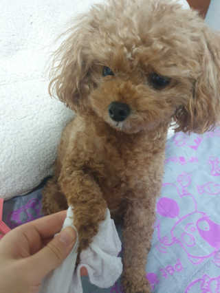JHoooii님이 올린 리뷰 사진 2
