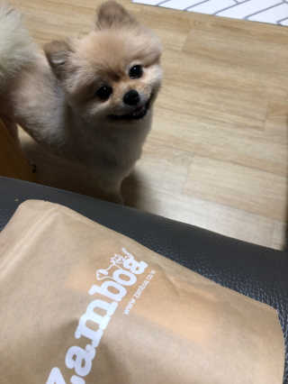 berryjjung님이 올린 리뷰 사진 3