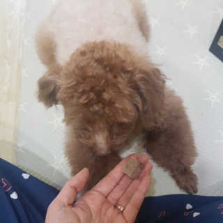 희야님이 올린 리뷰 사진 2