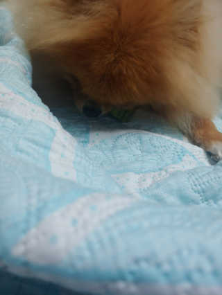 max님이 올린 리뷰 사진 1