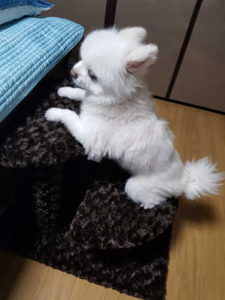 귤이님이 올린 리뷰 사진 1