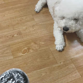 NaraKim님이 올린 리뷰 사진 1