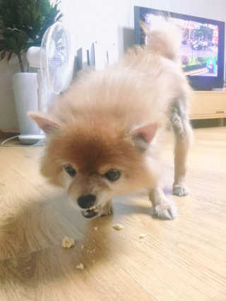 winniesujin님이 올린 리뷰 사진 3