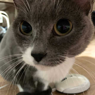 댜니님이 올린 리뷰 사진 3