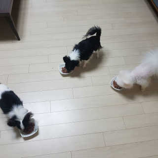 보로리님이 올린 리뷰 사진 1
