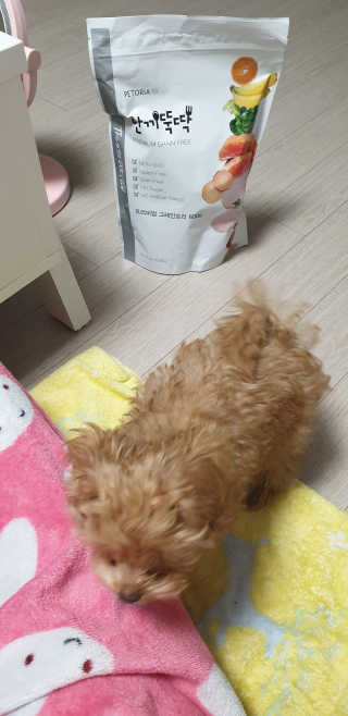 ehlove님이 올린 리뷰 사진 3