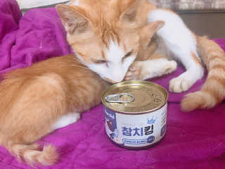 만쟈님님이 올린 리뷰 사진 2
