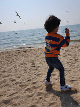 도운맘님이 올린 리뷰 사진 2