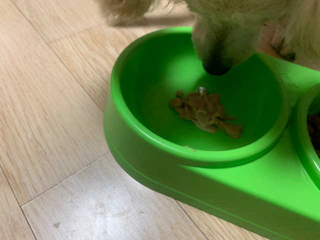잇쭈 리뷰 사진
