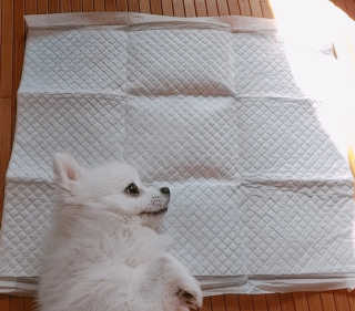 치르치르님이 올린 리뷰 사진 4