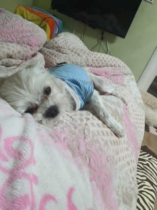 콩이님이 올린 리뷰 사진 2