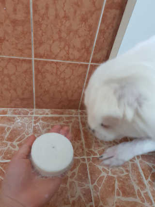 김유경님이 올린 리뷰 사진 3