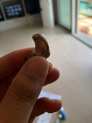 햄쓰님이 올린 리뷰 사진 2