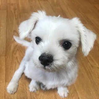 ෆ카밍고ෆ님이 올린 리뷰 사진 4
