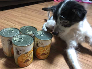 윰님이 올린 리뷰 사진 1